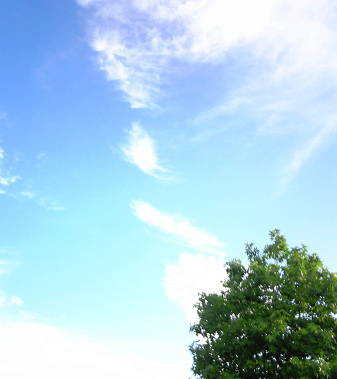blue sky byるる.jpg